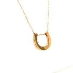 14K solid gold "Grand" Horseshoe Pendant on 14K gold rolo chain