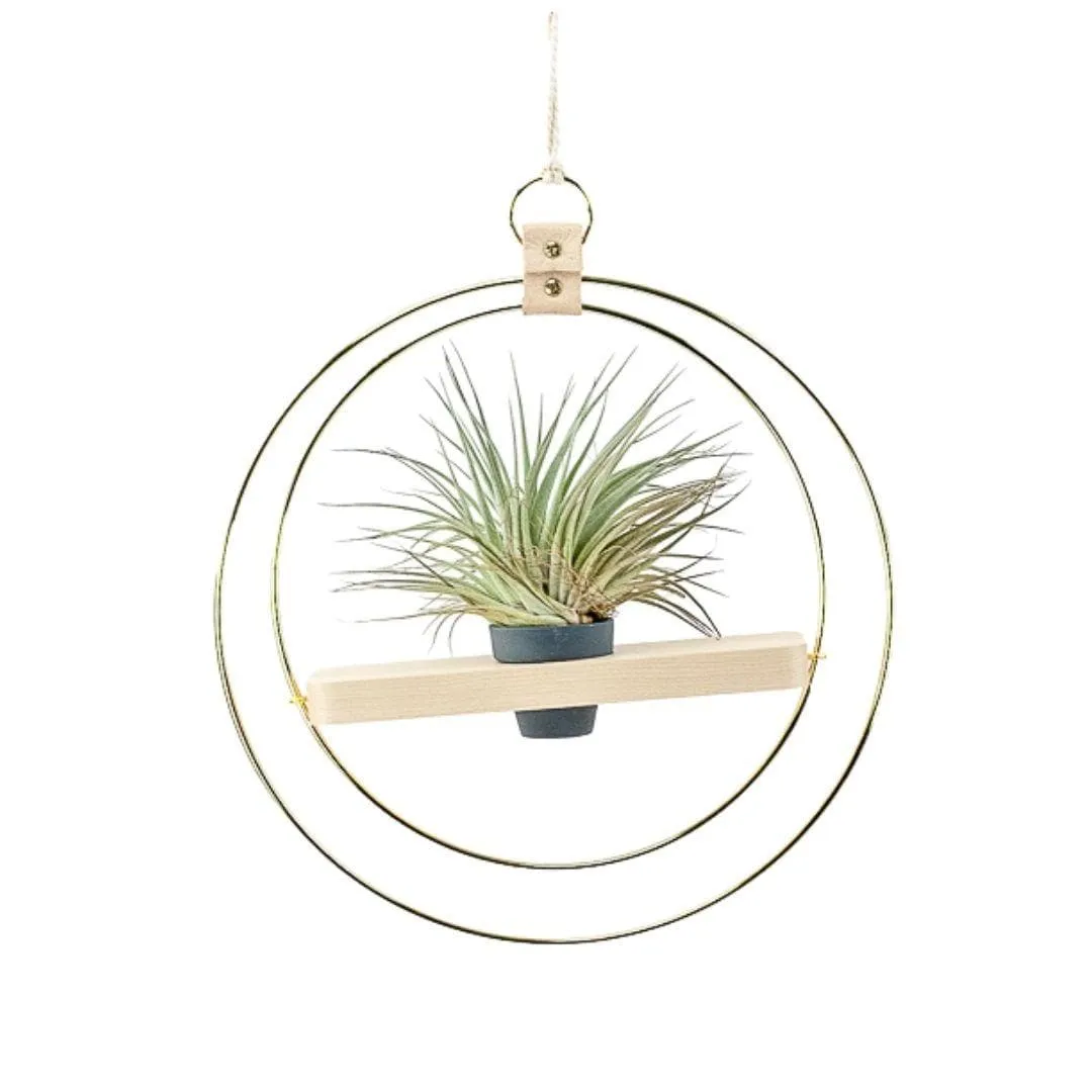 Double Ring Plant Shelf Hanger