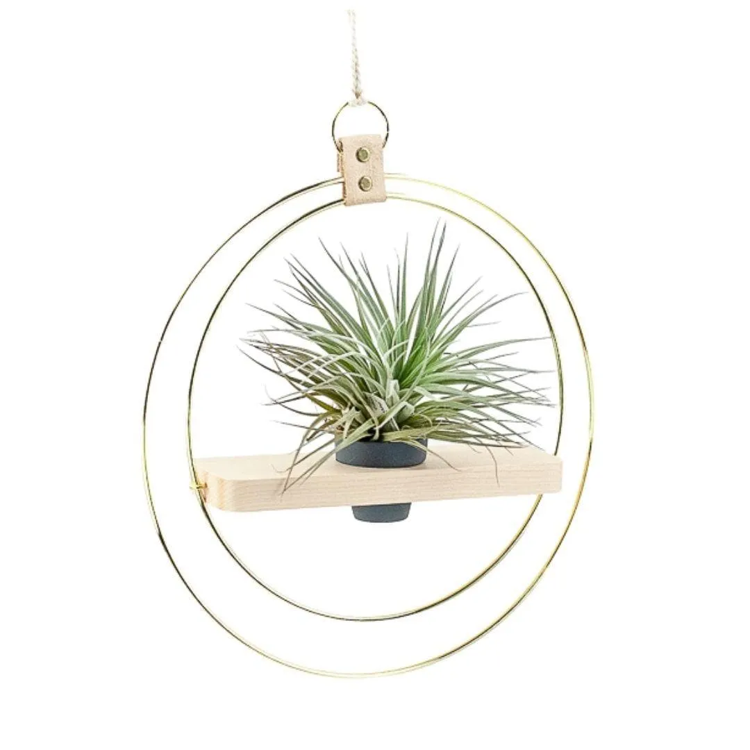 Double Ring Plant Shelf Hanger