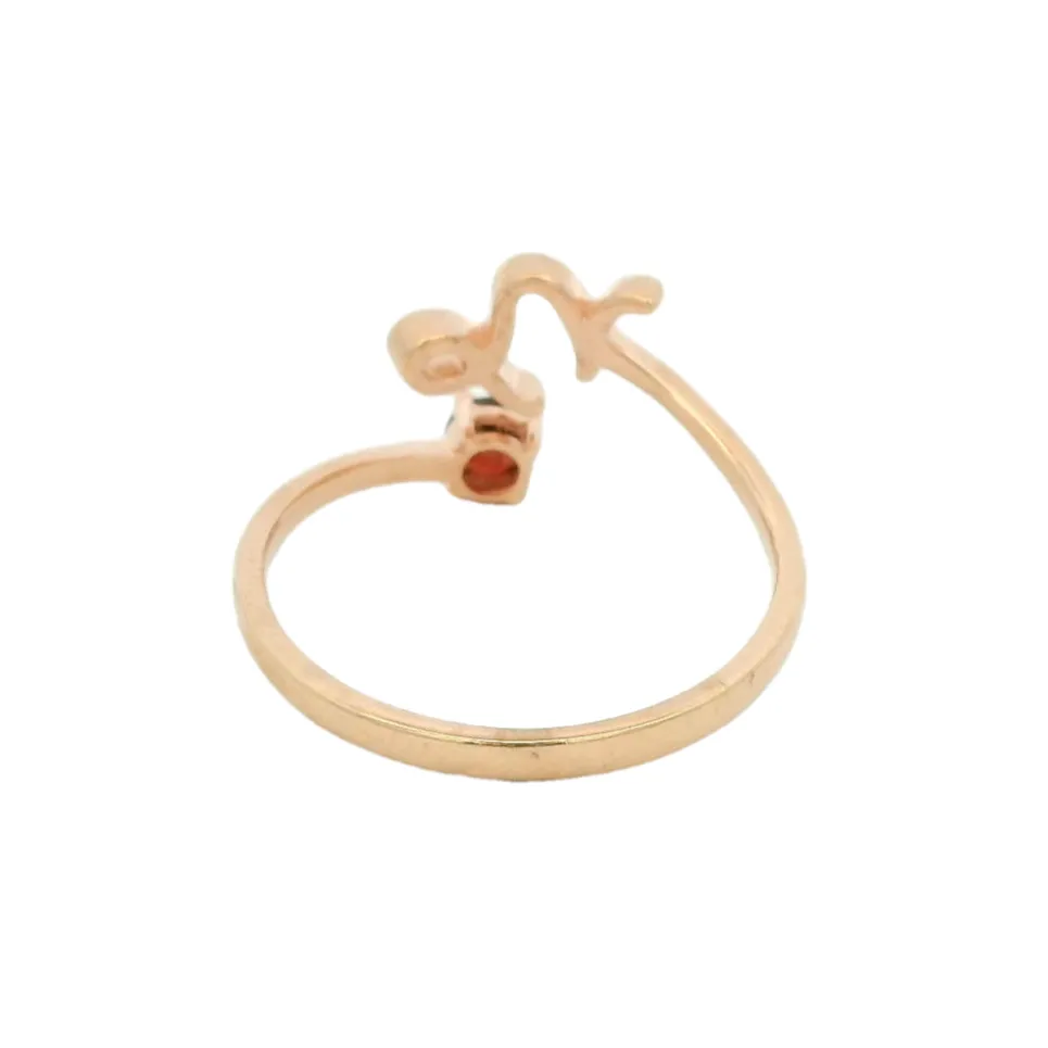 Elegant Capricorn Garnet Ring in 10K Rose Gold