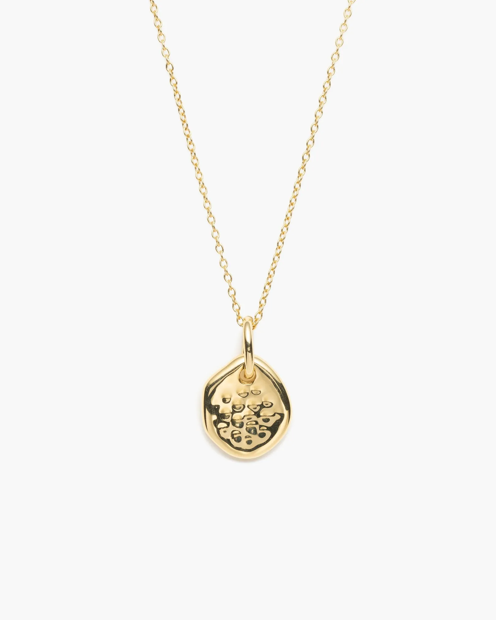 Jorie Coin Pendant